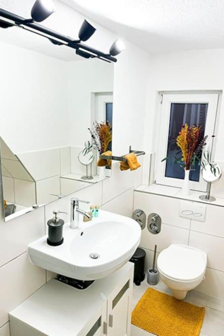 Modernes Apartment Mit Balkon Free Parking Netflix 첼레 외부 사진